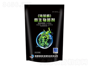 (���徫)΢�������500g-�����