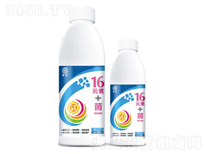 16Ԫ��+��-��ï����