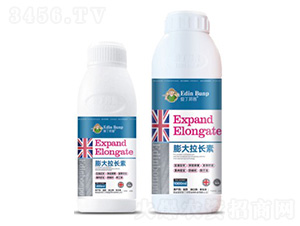 ���������-��������