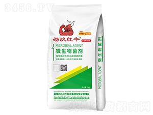 25kg΢�������-������ţ