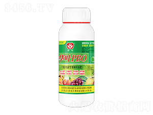 ��ҶPBO�����ٿ�Ҷ��ʣ�ˮ����-�����ѻ�