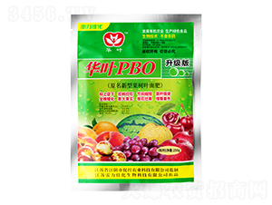 ��ҶPBO�����ٿ�Ҷ���-�����ѻ�