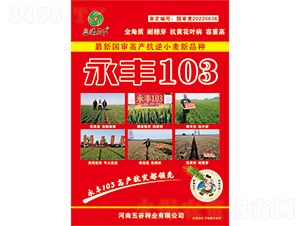 ����103С������-ӯ������-�����ҵ