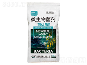 ����΢�������-������-껳�ʵҵ