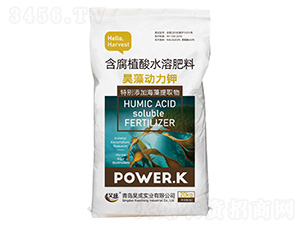 ����ֲ��ˮ�ܷ���-��嶯����-껳�ʵҵ