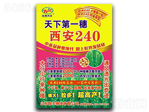 ����240-С������-ΰ����ҵ