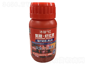 ���ǡ�Ϻ����200g-�����-����������