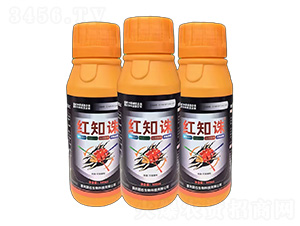����֬����ר����Ч��-��֪��-��ʯ����