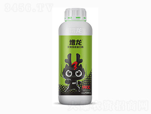 ˫ø���ߵ���ø-����-�ͷ�������