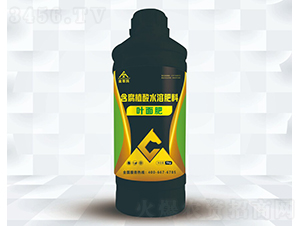 ����ֲ��Ҷ���-������