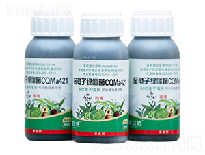 ������̽���CQMa421��������-����������