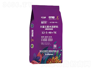 �۹Ȱ���߼��ʹ���Ԫ��ˮ�ܷ���12-5-40+TE-���ַ�-���ִ�����