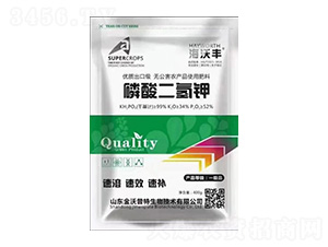 400g��������-���ַ�-���ִ�����