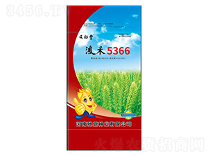 ����5366-С������-�۶���ҵ