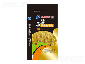 52΢�������-�ζ�ͥ����ҵ