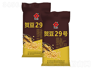 �ض�29��-������-����ũ��