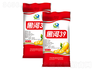�ں�39-������-����ũ��