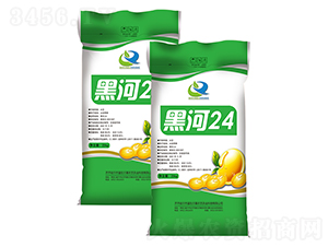 �ں�24-������-����ũ��