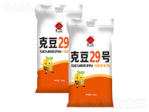�˶�29��-������-����ũ��