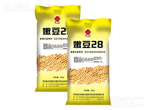 �۶�28-������-����ũ��
