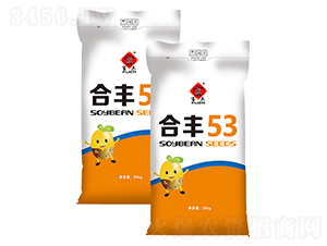 �Ϸ�53-������-����ũ��