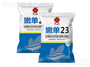 �۵�23-��������-����ũ��