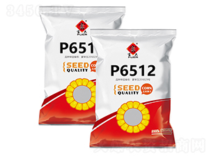 P6512-��������-����ũ��