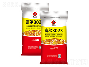 ����3023-��������-����ũ��