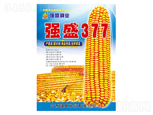 ǿʢ377-��������-ǿʢ��ҵ