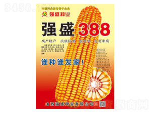 ǿʢ388-��������-ǿʢ��ҵ