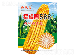 ��ʢ԰588-��������-ǿʢ��ҵ