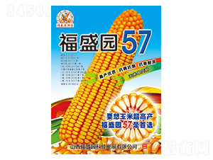 ��ʢ԰57-��������-ǿʢ��ҵ