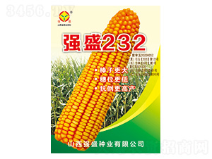 ǿʢ232-��������-ǿʢ��ҵ