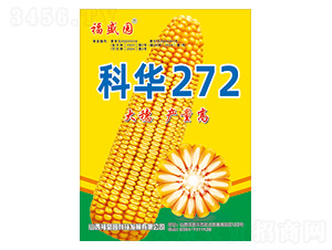�ƻ�272-��������-ǿʢ��ҵ