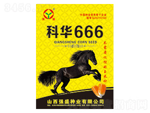 �ƻ�666-��������-ǿʢ��ҵ