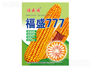 ��ʢ777-��������-ǿʢ��ҵ