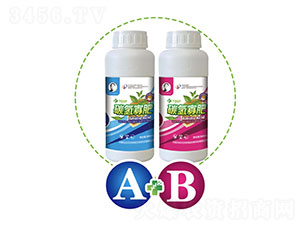 ̼��ѷ�A+B���Ҷ����ײ�-ʵ����