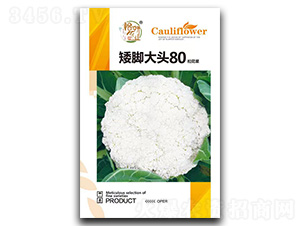 ���Ŵ�ͷ80�ɻ�������-����ũҵ