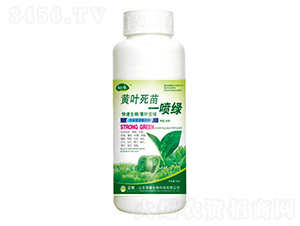 ��Ҷ����һ���̣�500g��-����-��ҫũҵ