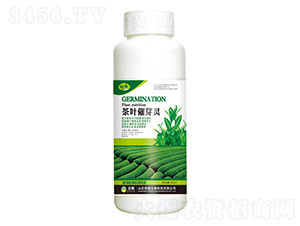 ��Ҷ��ѿ�飨500g��-����-��ҫũҵ
