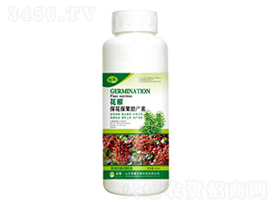 �����������������أ�500g��-����-��ҫũҵ