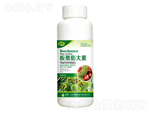 ��������أ�500g��-����-��ҫũҵ