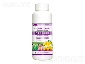 â�����������أ�500g��-����-��ҫũҵ