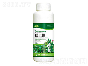 �����ң�500g��-����-��ҫũҵ