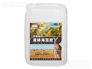 Һ�庣���-���-��֮��