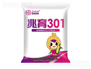����301-��������-������ҵ