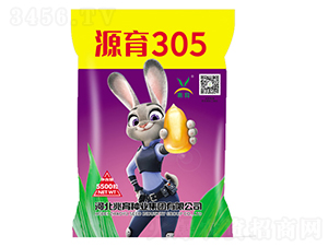 Դ��305-��������-������ҵ