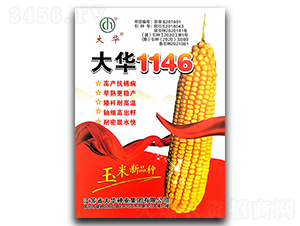 ��1146-��������-�¿Ѵ�
