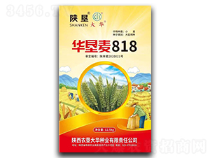������818-С������-�¿Ѵ�