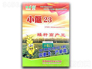 С��23-С������-�¿Ѵ�